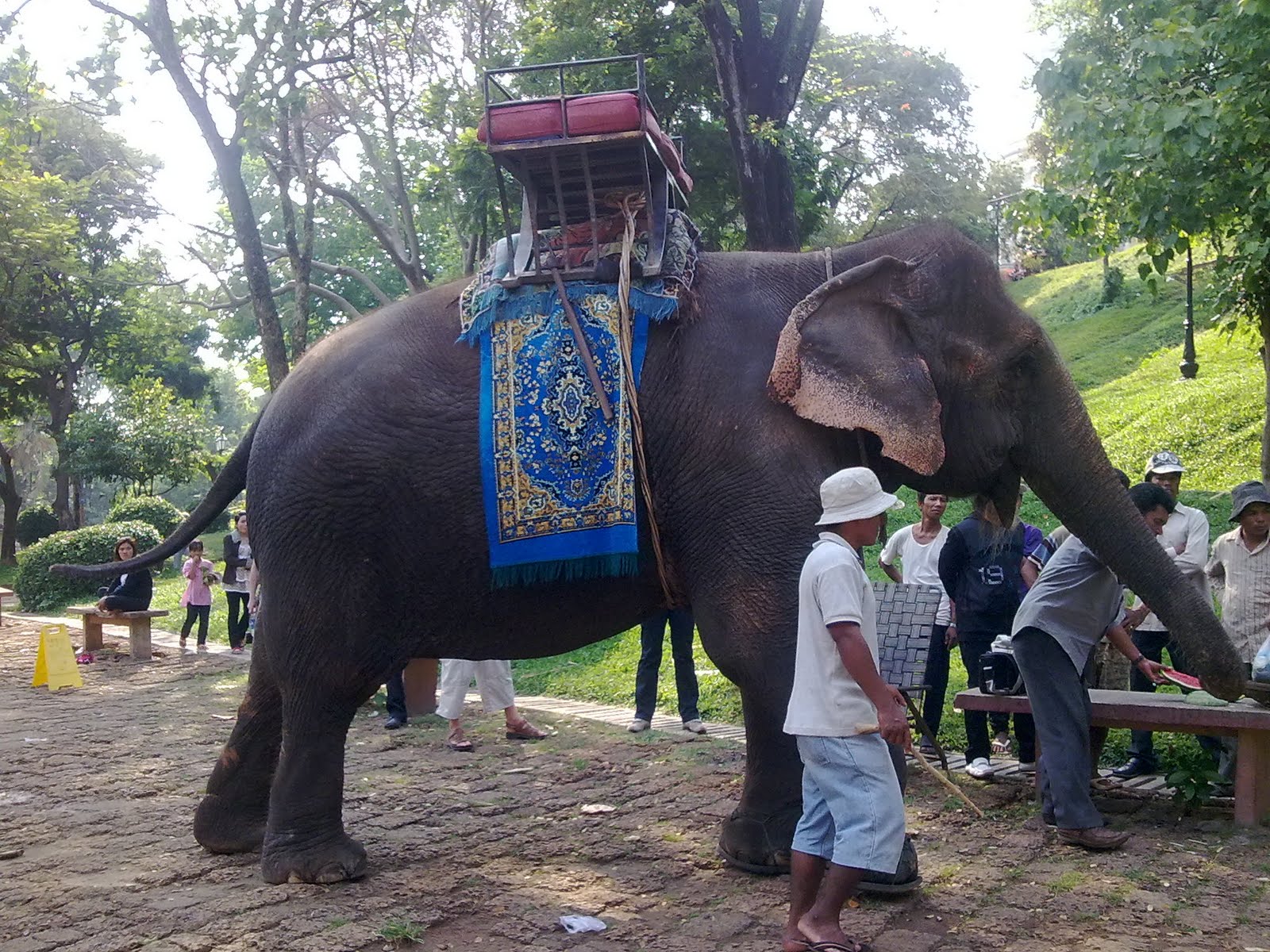 attraction-Elephant Rides at Wat Phnom Penh.jpg